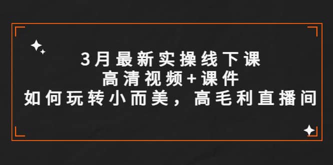 3月最新实操线下课高清视频+课件，如何玩转小而美，高毛利直播间-无忧资源网