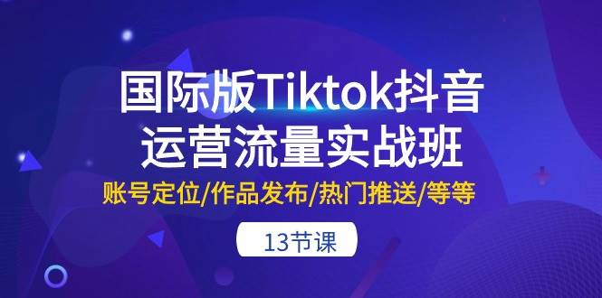 国际版Tiktok抖音运营流量实战班:账号定位/作品发布/热门推送/等等-13节-无忧资源网