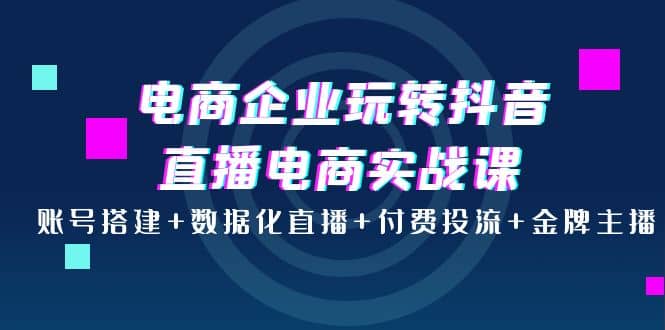 电商企业玩转抖音直播电商实战课：账号搭建+数据化直播+付费投流+金牌主播-无忧资源网