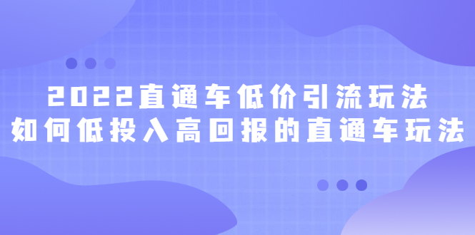 2022直通车低价引流玩法,教大家如何低投入高回报的直通车玩法-无忧资源网