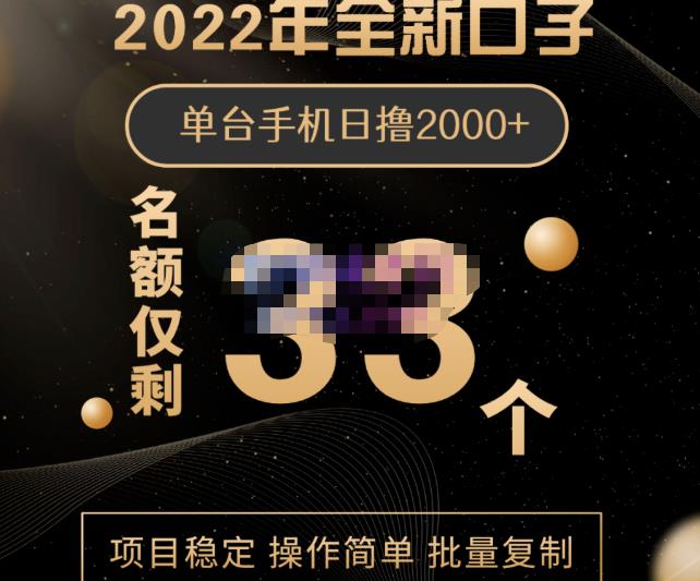 2022年全新口子,手机批量搬砖玩法,一部手机日撸2000+-无忧资源网