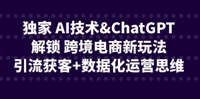 独家 AI技术ChatGPT解锁 跨境电商新玩法，引流获客+数据化运营思维-无忧资源网