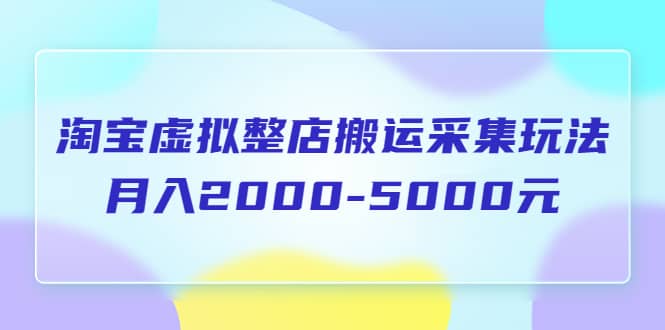 淘宝虚拟整店搬运采集玩法分享课：月入2000-5000元（5节课）-无忧资源网