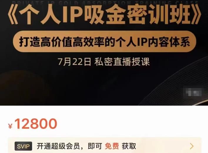 个人IP吸金密训班,打造高价值高效率的个人IP内容体系(价值12800元)-无忧资源网