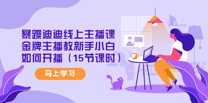 暴躁迪迪线上主播课，金牌主播教新手小白如何开播（15节课时）-无忧资源网