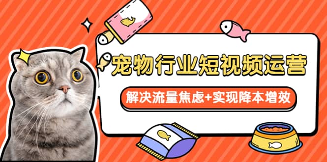 宠物/行业短视频运营 流量增长的一层窗户纸 解决流量焦虑+实现降本增效-无忧资源网