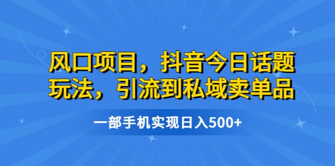 风口项目,抖音今日话题玩法,引流到私域卖单品,一部手机实现日入500+-无忧资源网