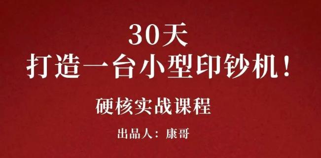 康哥30天打造一台小型印钞机:躺赚30万的项目完整复盘(视频教程)-无忧资源网