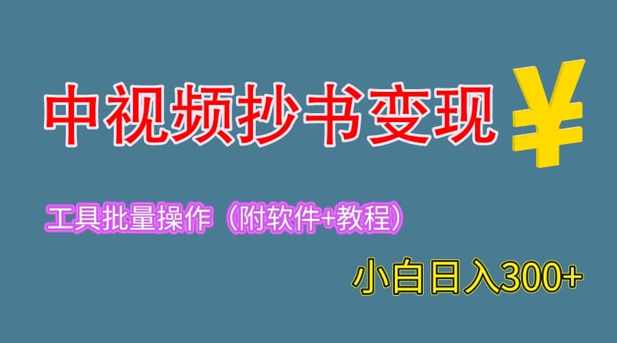 2023中视频抄书变现(附工具+教程),一天300+,特别适合新手操作的副业-无忧资源网