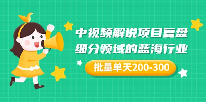 某付费文章:中视频解说项目复盘:细分领域的蓝海行业 批量单天200-300收益-无忧资源网