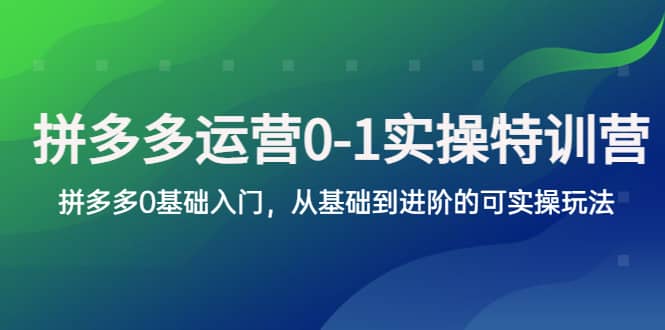 拼多多-运营0-1实操训练营,拼多多0基础入门,从基础到进阶的可实操玩法-无忧资源网