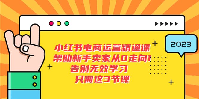 小红书电商·运营精通课，帮助新手卖家从0走向1 告别无效学习（7节视频课）-无忧资源网