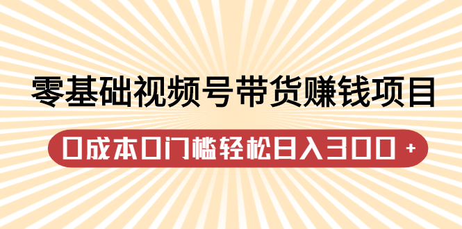 零基础视频号带货赚钱项目,0成本0门槛轻松日入300+【视频教程】-无忧资源网