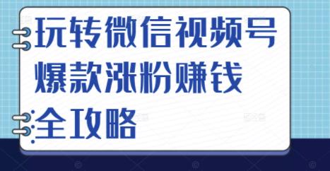 玩转微信视频号爆款涨粉赚钱全攻略,让你快速抓住流量风口,收获红利财富-无忧资源网