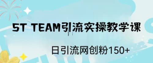 ST TEAM引流实操课,日引流网创粉100+-无忧资源网