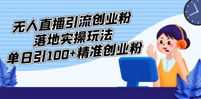外面收费3980的无人直播引流创业粉落地实操玩法,单日引100+精准创业粉-无忧资源网