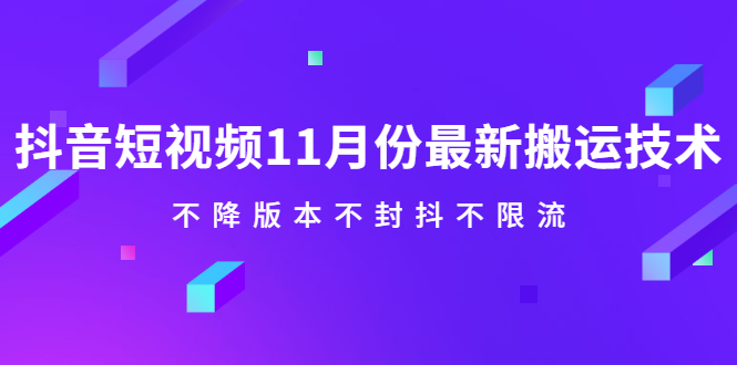 抖音短视频11月份最新搬运技术,不降版本不封抖不限流!【视频课程】-无忧资源网