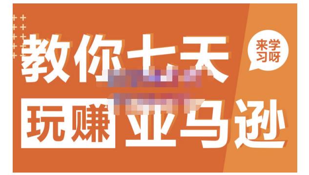 晟尧跨境·教你七天玩赚亚马逊,教你轻松玩赚亚马逊,适合小白学习-无忧资源网