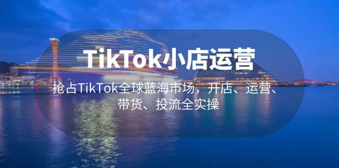 TikTok小店运营 抢占TikTok全球蓝海市场，开店、运营、带货、投流全实操-无忧资源网
