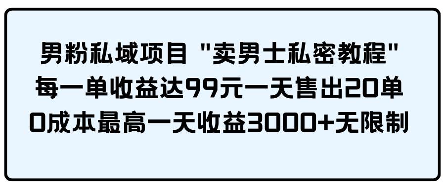 男粉私域项目 卖男士私密教程 每一单收益达99元一天售出20单-无忧资源网