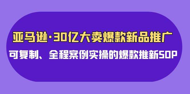 亚马逊30亿·大卖爆款新品推广，可复制、全程案例实操的爆款推新SOP-无忧资源网