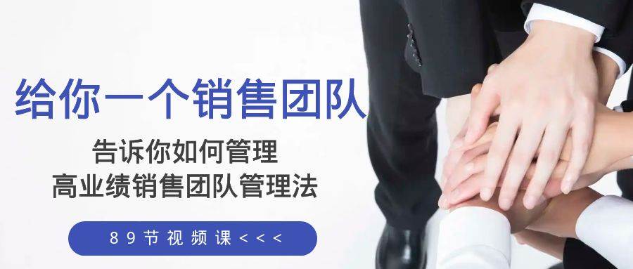 给你一个销售团队，告诉你如何管理，高业绩销售团队管理法（89节课）-无忧资源网