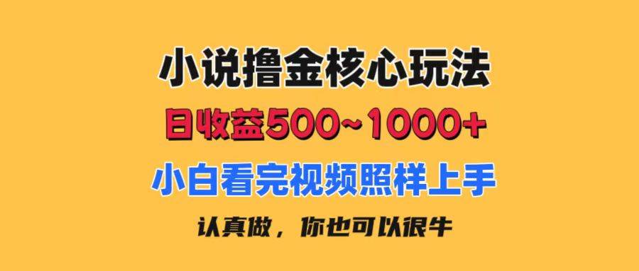 小说撸金核心玩法，日收益500-1000+，小白看完照样上手，0成本有手就行-无忧资源网