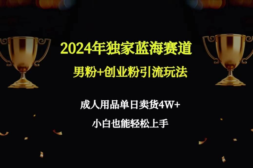 2024年独家蓝海赛道男粉+创业粉引流玩法,成人用品单日卖货4W+保姆教程-无忧资源网