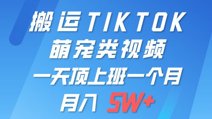 一键搬运TIKTOK萌宠类视频 一部手机即可操作 所有平台均可发布 轻松月入5W+-无忧资源网