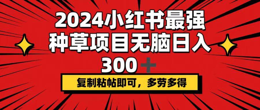 2024小红书最强种草项目，无脑日入300+，复制粘帖即可，多劳多得-无忧资源网