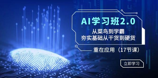 AI学习班2.0：从菜鸟到学霸，夯实基础从干货到硬货，重在应用（17节课）-无忧资源网