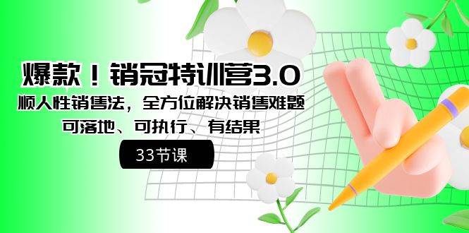 爆款!销冠特训营3.0之顺人性销售法,全方位解决销售难题、可落地、可执行、有结果-无忧资源网
