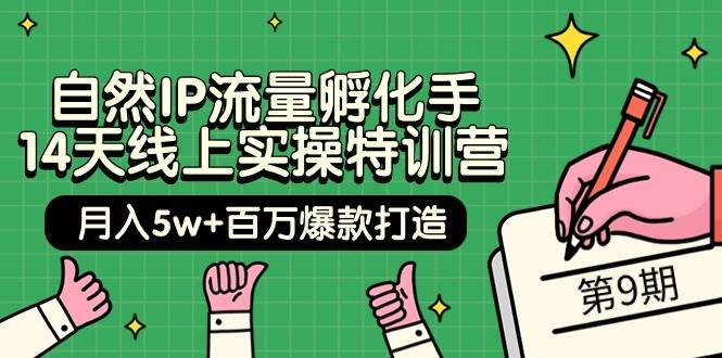 自然IP流量孵化手 14天线上实操特训营【第9期】月入5w+百万爆款打造 (74节)-无忧资源网
