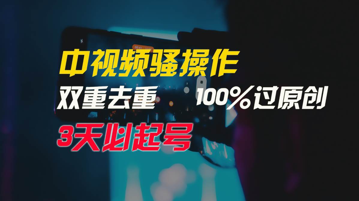 中视频骚操作,双重去重100%过原创,3天比必起号,简单无脑,月入3W+-无忧资源网