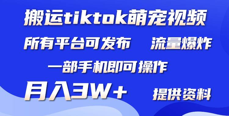搬运Tiktok萌宠类视频，一部手机即可。所有短视频平台均可操作，月入3W+-无忧资源网