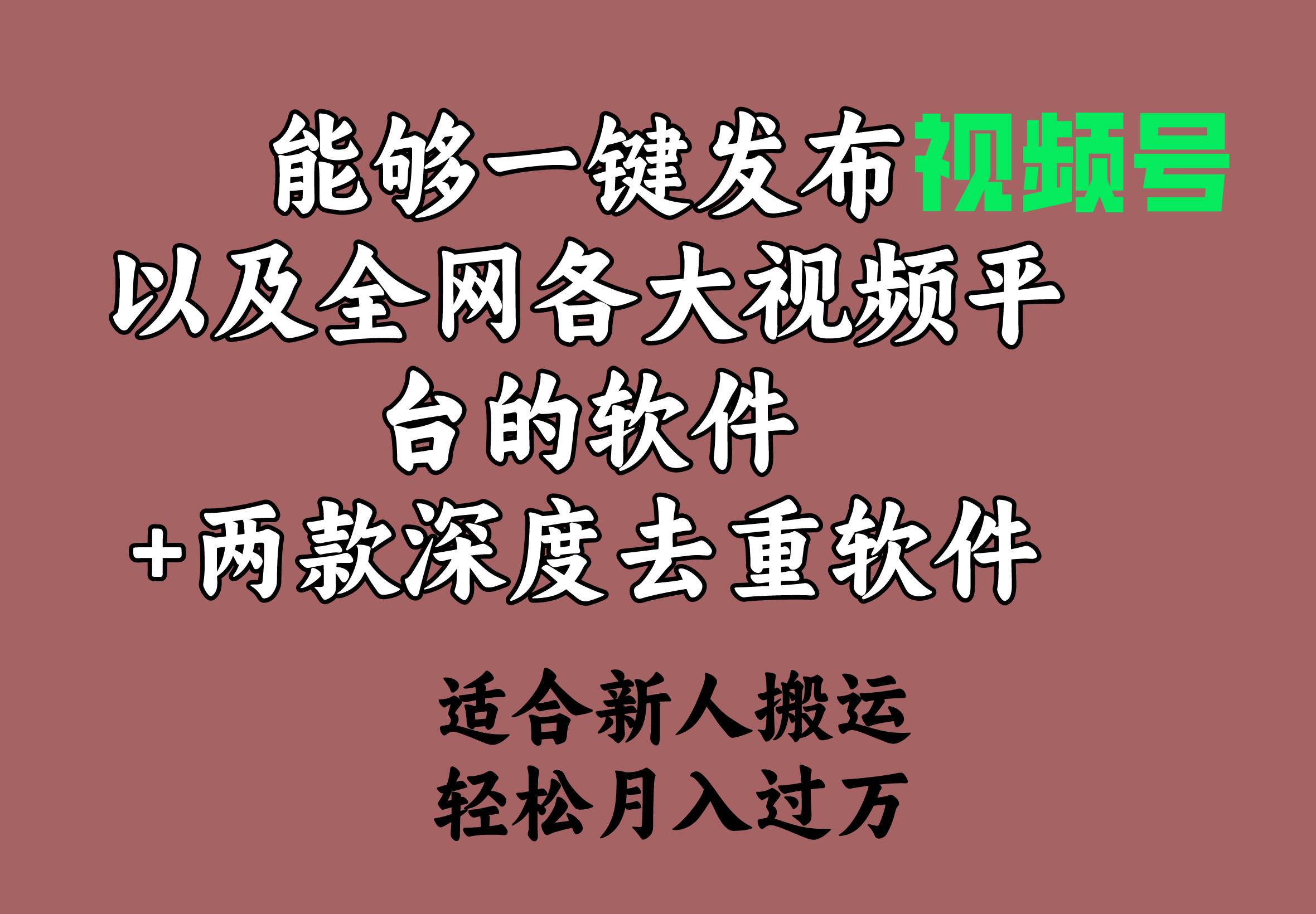 能够一键发布视频号以及全网各大视频平台的软件+两款深度去重软件 适合...-无忧资源网