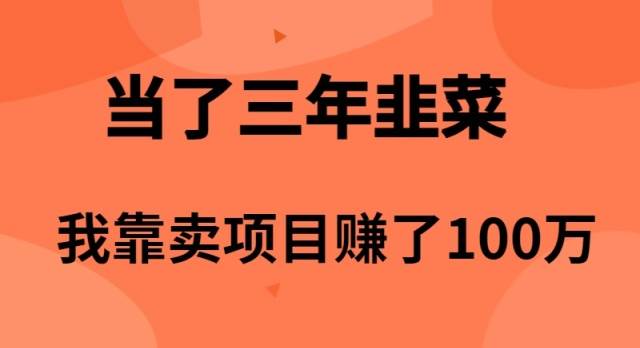 当了3年韭菜，我靠卖项目赚了100万-无忧资源网