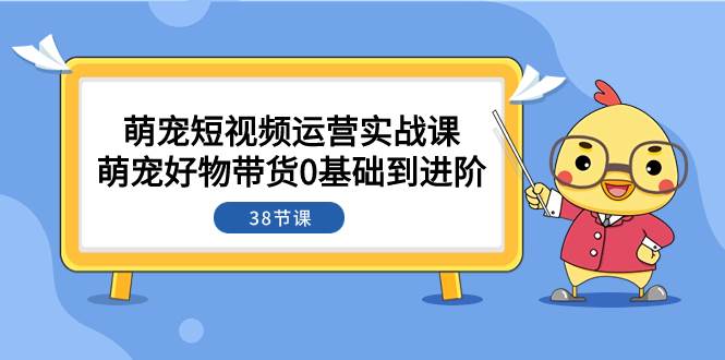萌宠·短视频运营实战课:萌宠好物带货0基础到进阶(38节课)-无忧资源网