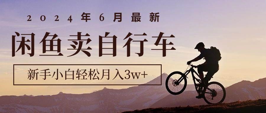 2024年6月最新闲鱼卖自行车，新手小白轻松月入3w+项目-无忧资源网