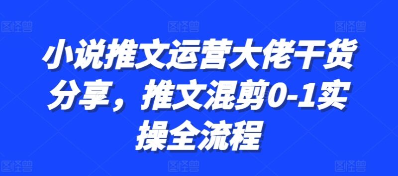 小说推文运营大佬干货分享,推文混剪0-1实操全流程-无忧资源网