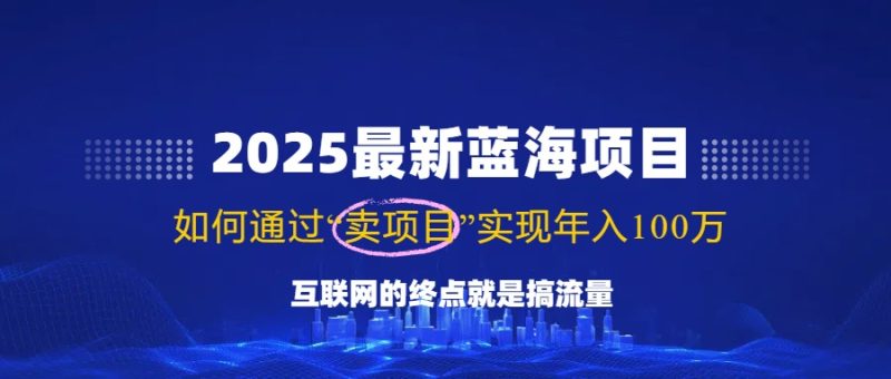 2025最新蓝海项目,零门槛轻松复制,月入10万+,新手也能操作!-无忧资源网