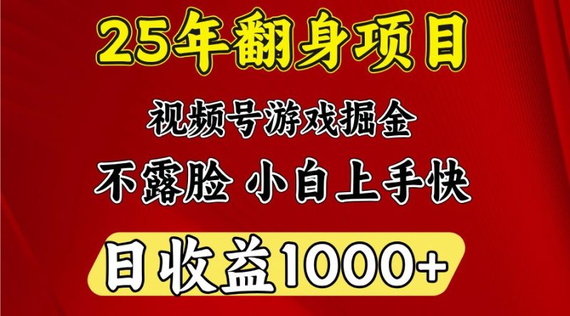 一天收益1000+ 25年开年落地好项目-无忧资源网
