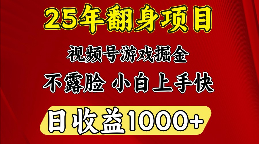 一天收益1000+ 25年开年落地好项目-无忧资源网