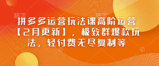 拼多多运营玩法课高阶运营【2月更新】,极致群爆款玩法,轻付费无尽复制等-无忧资源网