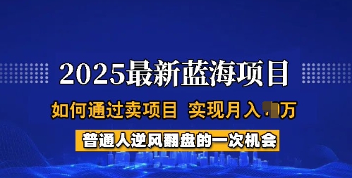 2025蓝海项目,普通人如何通过卖项目,实现月入过W,全过程【揭秘】-无忧资源网