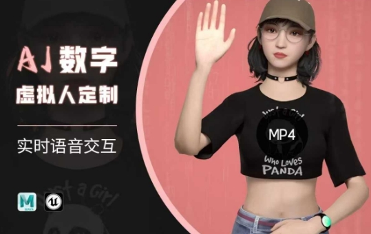 Ai数字人虚拟(智能体)实时语音交互特训营，​自行定制超写实角色AI数字人交互技术-无忧资源网