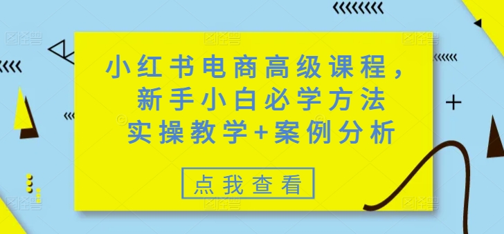 小红书电商高级课程,新手小白必学方法,实操教学+案例分析-无忧资源网