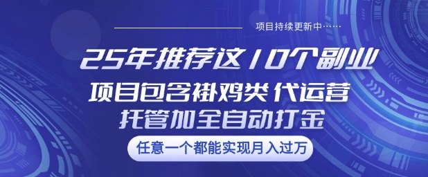 25年推荐这10个副业项目包含褂鸡类、代运营托管类、全自动打金类【揭秘】-无忧资源网