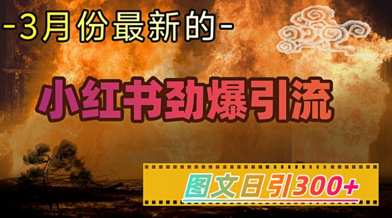 小红书超劲爆引流手段，图文日引300+轻松变现1W-无忧资源网