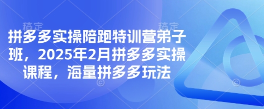 拼多多实操陪跑特训营弟子班，2025年2月拼多多实操课程，海量拼多多玩法-无忧资源网